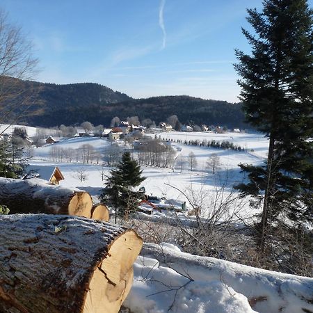 Apartament Locations Dupertuis Alsace Le Hohwald Zewnętrze zdjęcie
