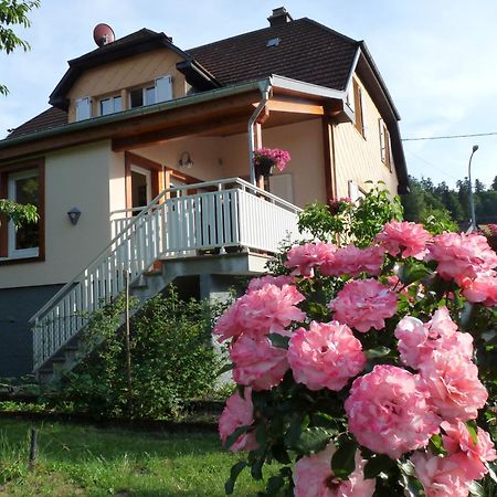 Apartament Locations Dupertuis Alsace Le Hohwald Zewnętrze zdjęcie