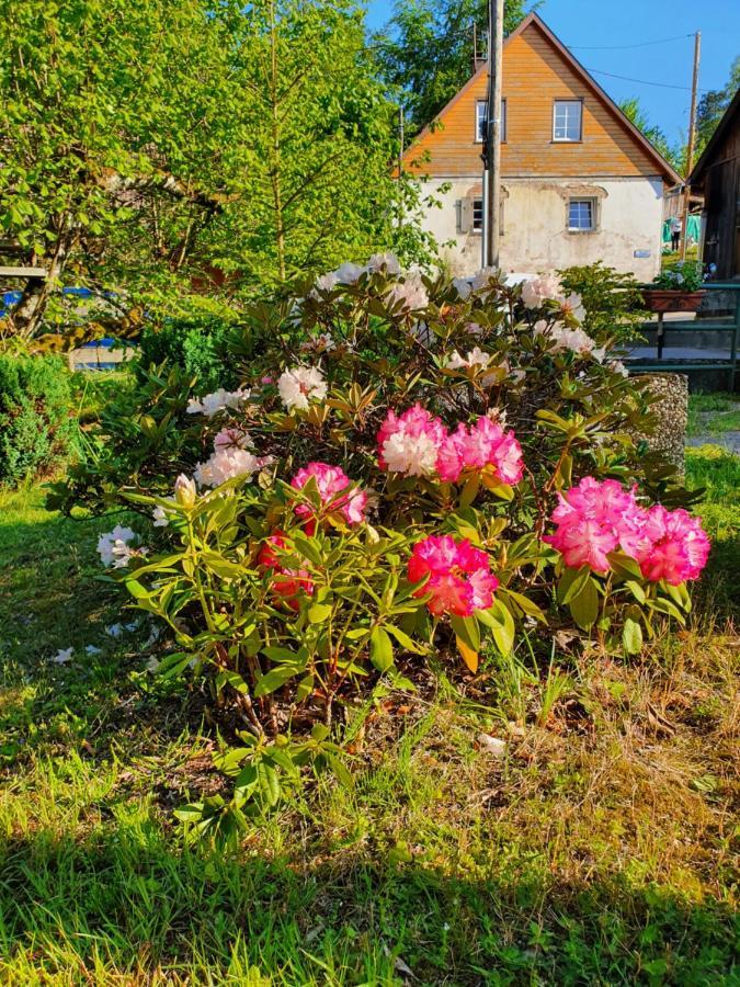 Apartament Locations Dupertuis Alsace Le Hohwald Zewnętrze zdjęcie
