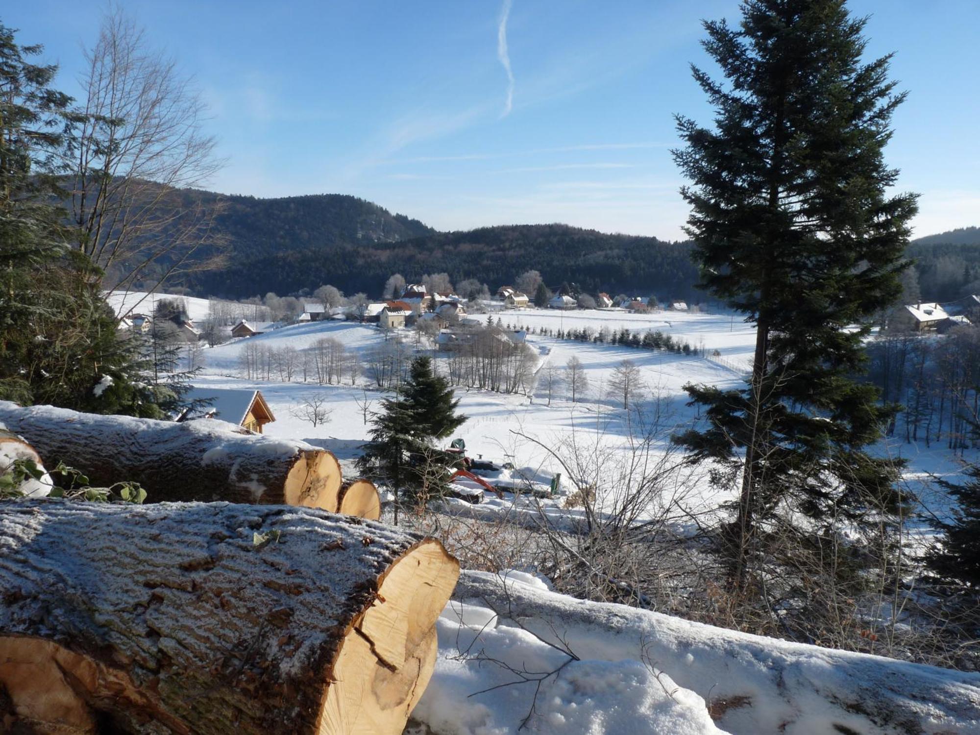 Apartament Locations Dupertuis Alsace Le Hohwald Zewnętrze zdjęcie