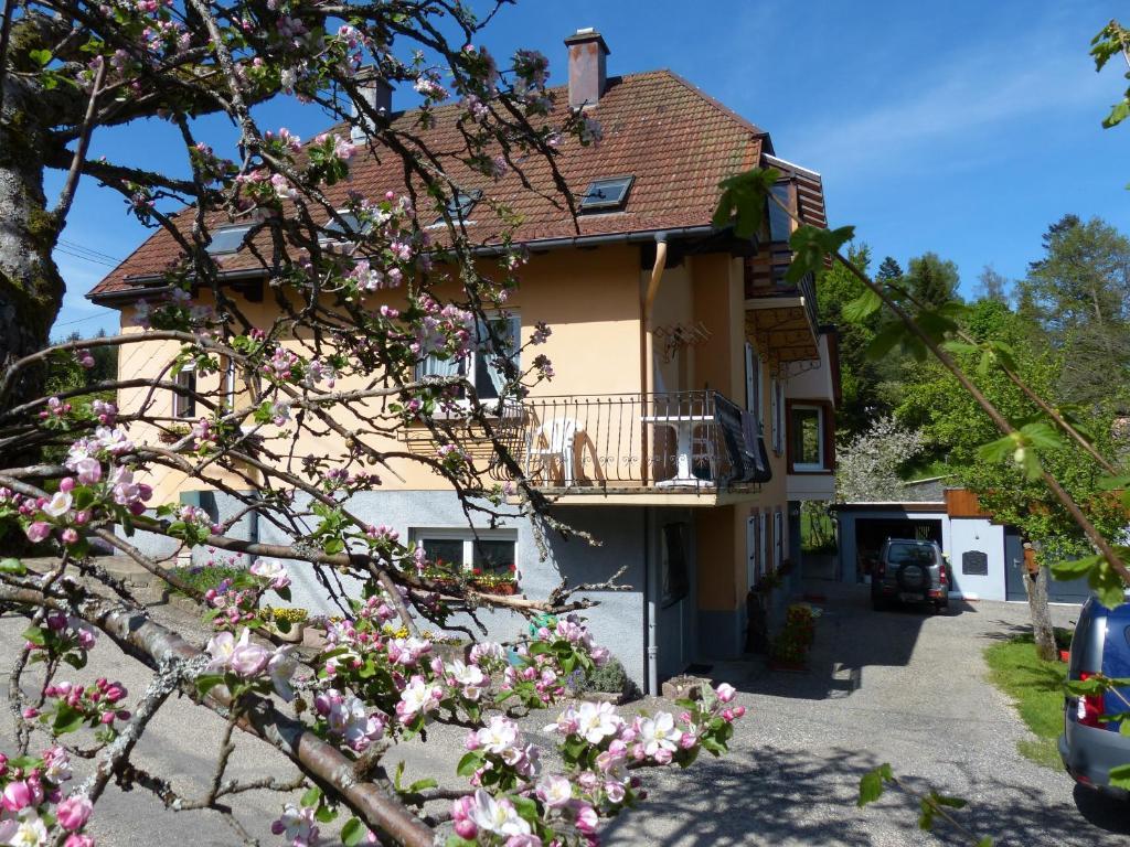 Apartament Locations Dupertuis Alsace Le Hohwald Zewnętrze zdjęcie